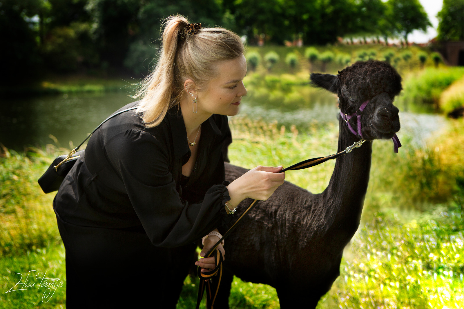Dierenfotografie